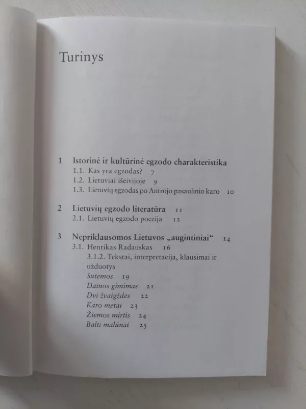 Lietuvių egzodo poezija - Dalia Satkauskaitė, knyga 4