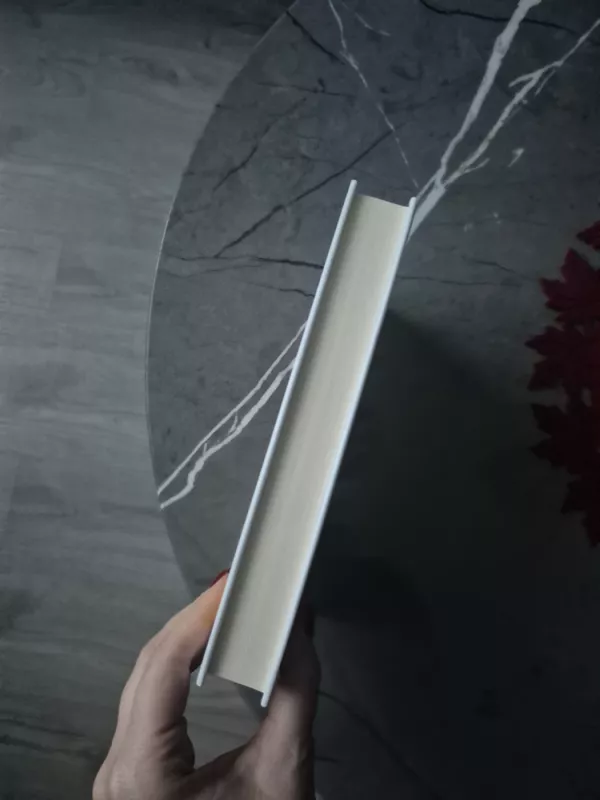 DI supervalstybės: Kinija, Silicio slėnis ir naujoji pasaulio tvarka - Kai-Fu Lee, knyga 5