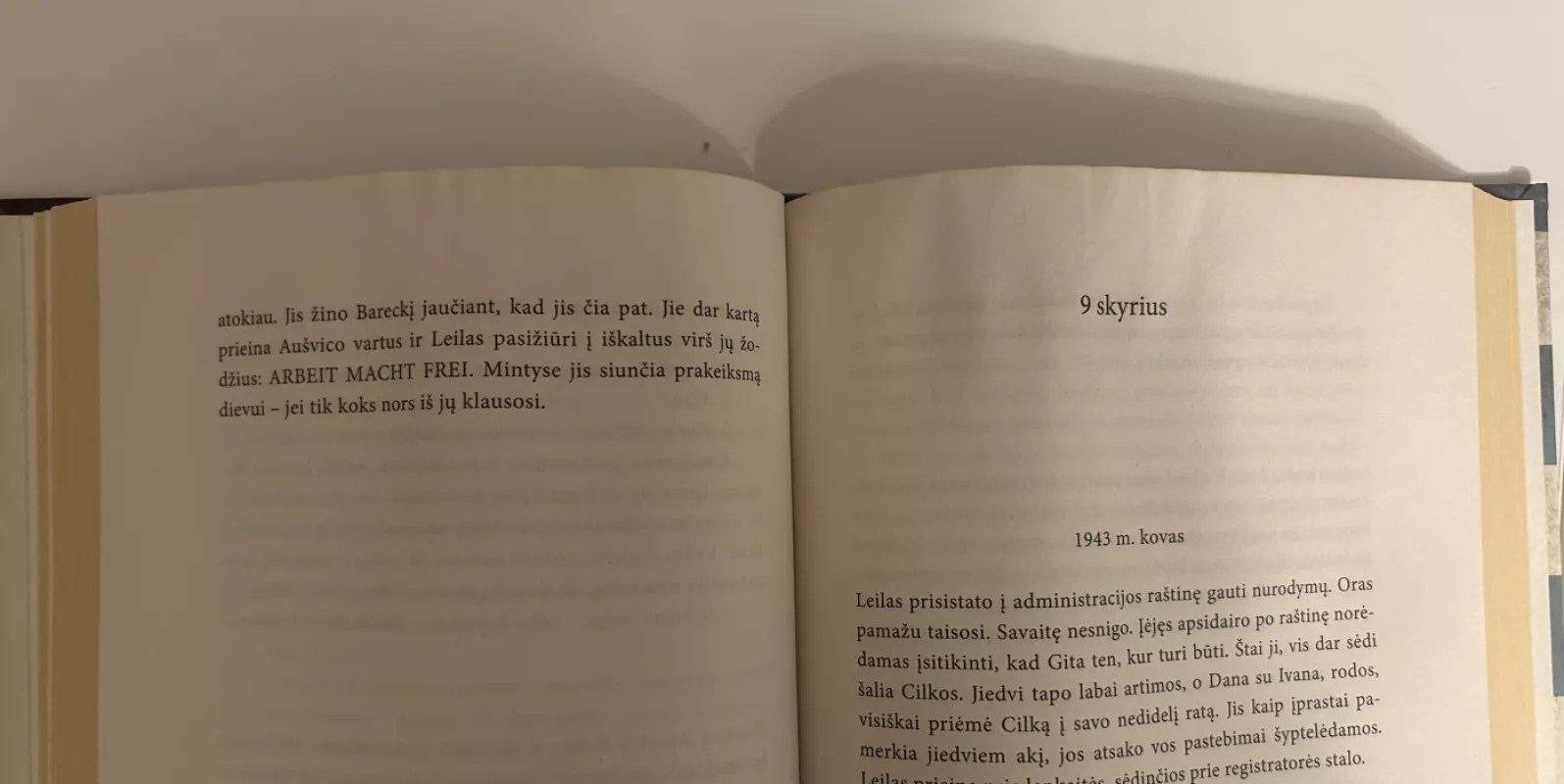 Aušvico tatuiruotojas - Heather Morris, knyga 4