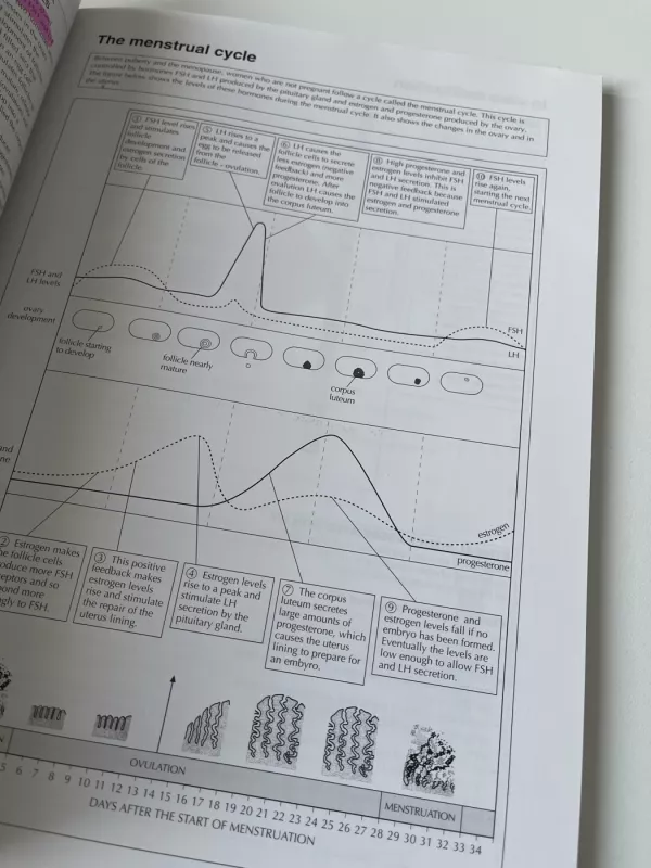 BIOLOGY FOR THE IB DIPLOMA - Andrew Allott, knyga 6