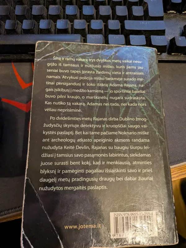 Miškuose - Tana French, knyga 4