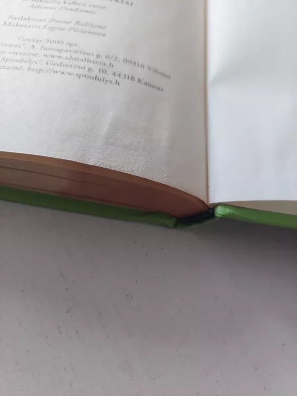 Nauji vavušelių nuotykiai - Irina Korschunow, knyga 4