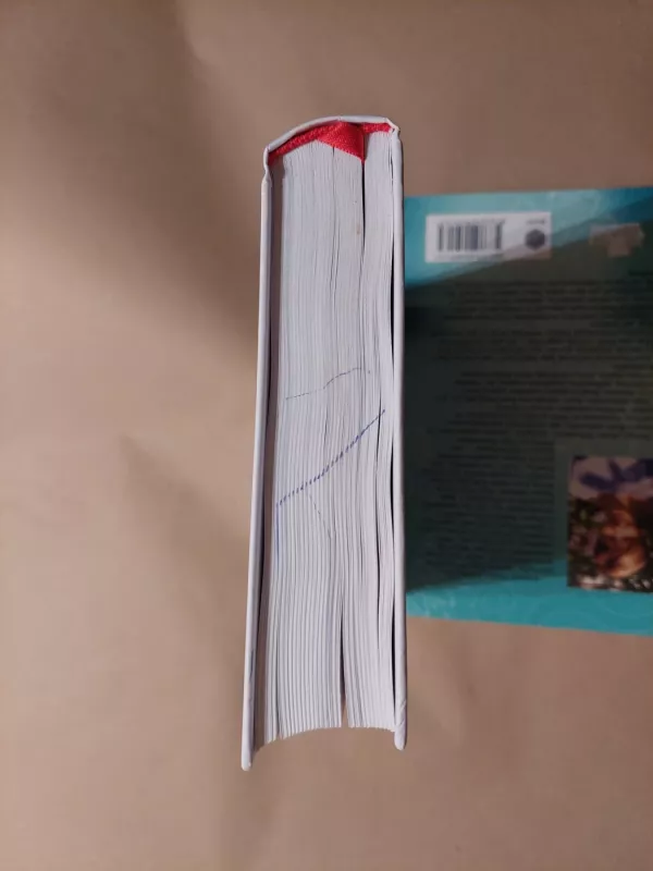 Kiekvieną moteris- deivė - Jean Shinoda Bolen, knyga 3