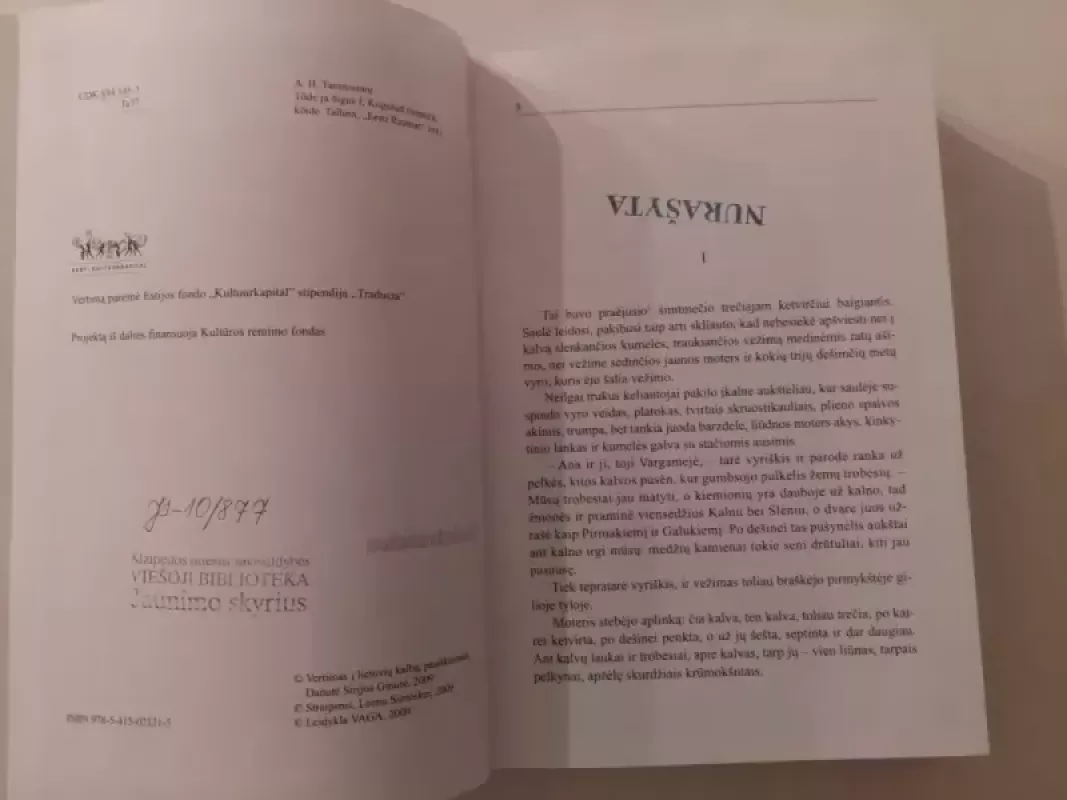 Tiesa ir teisingumas - Antonas Tamsarė, knyga 4