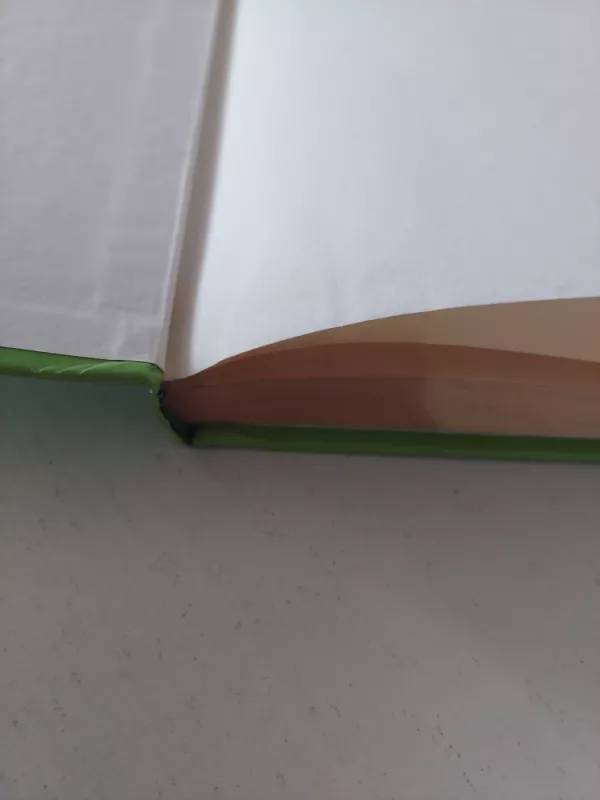 Nauji vavušelių nuotykiai - Irina Korschunow, knyga 5