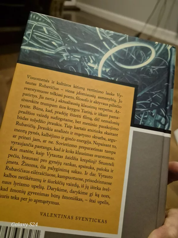 Vėluojanti savastis - Vytautas Rubavičius, knyga 5