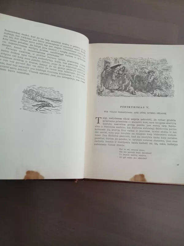 Išmoningasis Idalgas Don Kichotas iš La Mančos (I-II tomai) - Migelis Servantesas, knyga 6