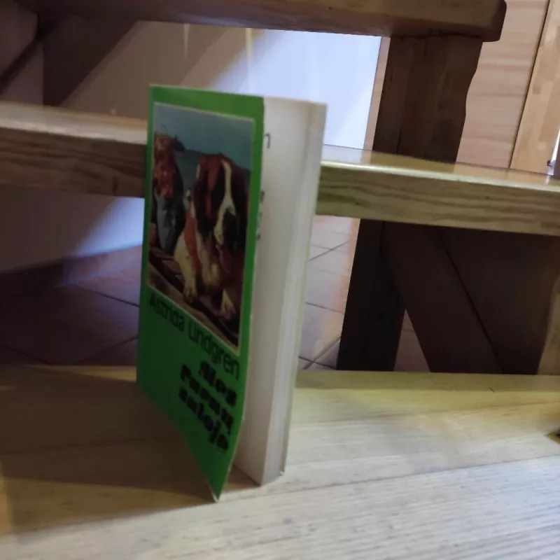 Mes Varnų saloje - Astrid Lindgren, knyga 6