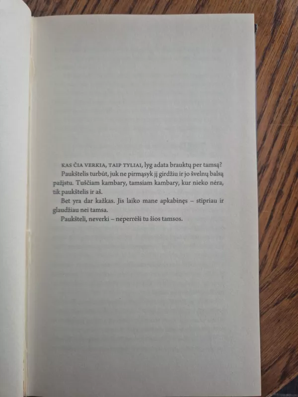 Izabelė - Renata Šerelytė, knyga 4