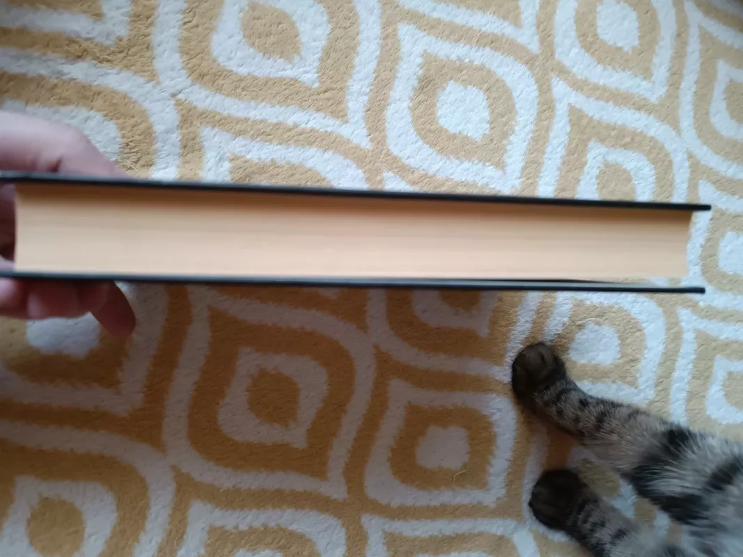 BLOGAS KRAUJAS: Silicio slėnio startuolio melai ir paslaptys - John Carreyrou, knyga 5