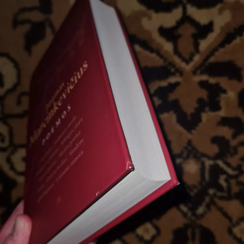 Poemos - Justinas Marcinkevičius, knyga 3