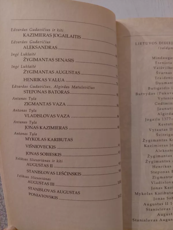 Lietuvos didieji kunigaikščiai. Trumpas enciklopedinis žinynas - Vytautas Spečiūnas, knyga 5