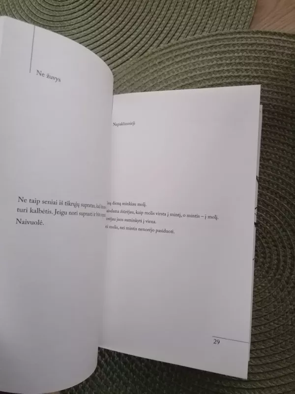 Obuolėtas. Įsižiūrėjimai iš arti - Vita Morkūnienė, knyga 4