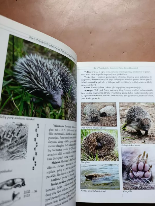 Miško žvėrys - Algirdas Navasaitis, knyga 5