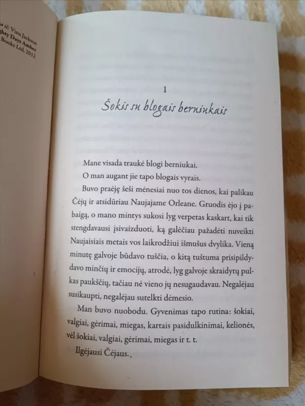 80 DIENŲ. AUKSINĖ - Vina Jackson, knyga 5