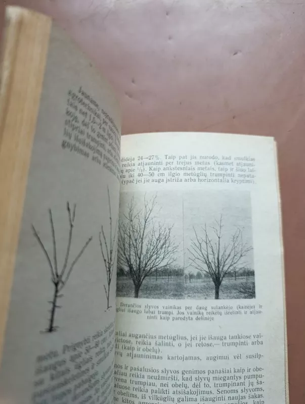 Vaismedžių ir vaiskrūmių genėjimas - E. Armolaitis, knyga 6