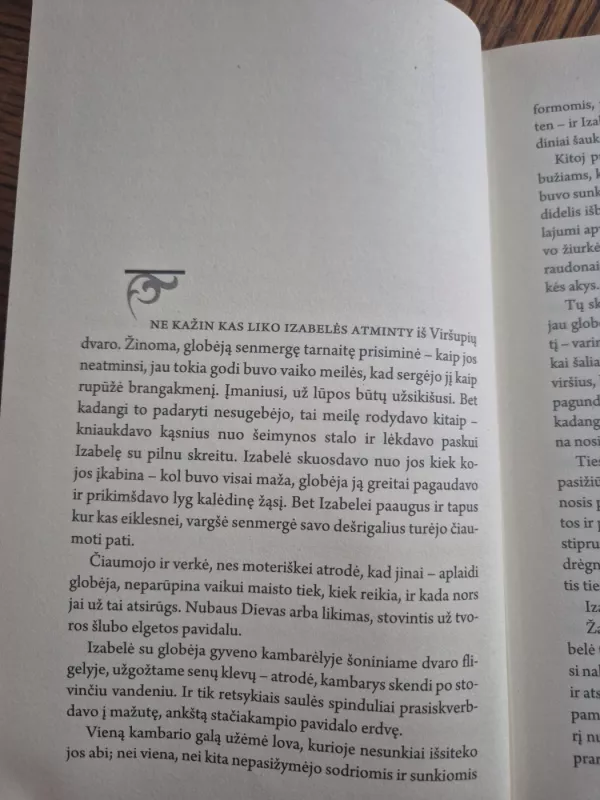 Izabelė - Renata Šerelytė, knyga 5