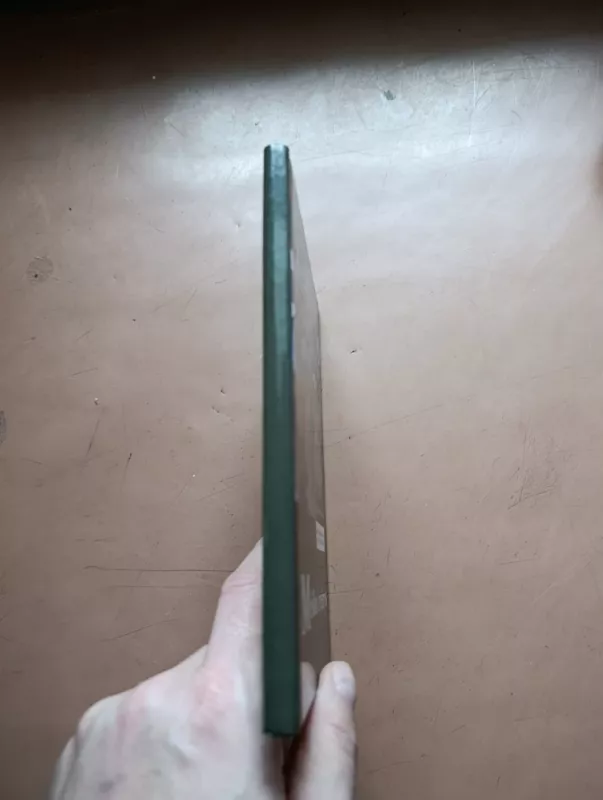 Miško žvėrys - Algirdas Navasaitis, knyga 3