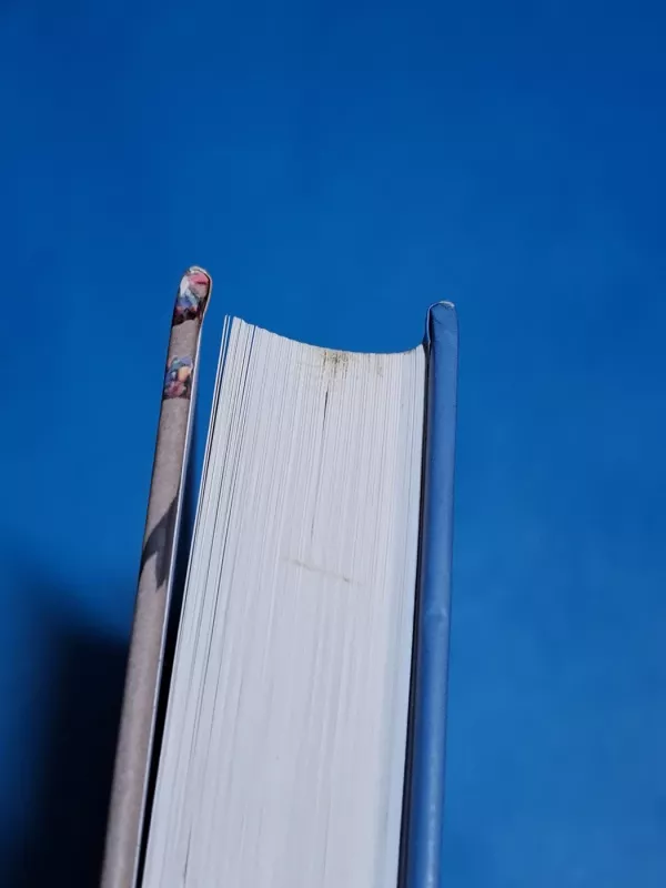 Iš kiemo į didįjį krepšinį - Leonas Karaliūnas, knyga 5