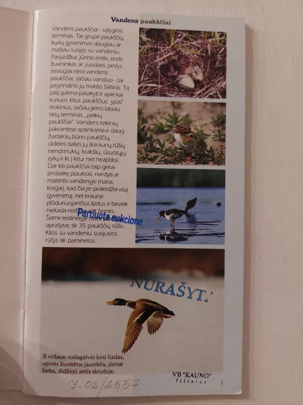 Vandens paukščiai - Vytautas Jusys, knyga 3