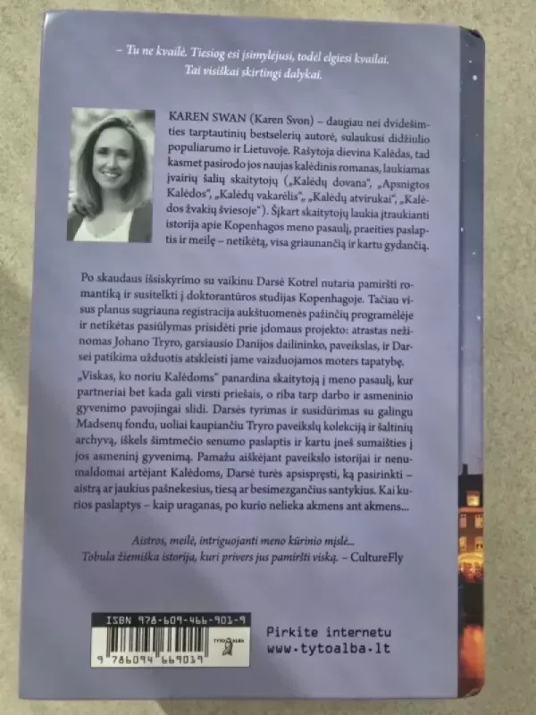 Viskas, ko noriu Kalėdoms - Karen Swan, knyga 3