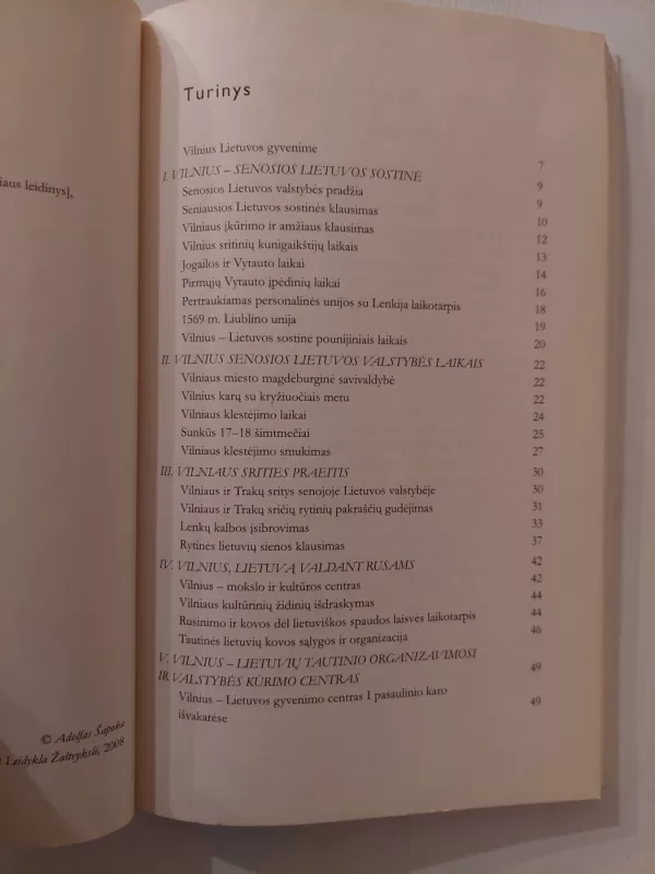 Vilnius Lietuvos gyvenime - Adolfas Šapoka, knyga 4