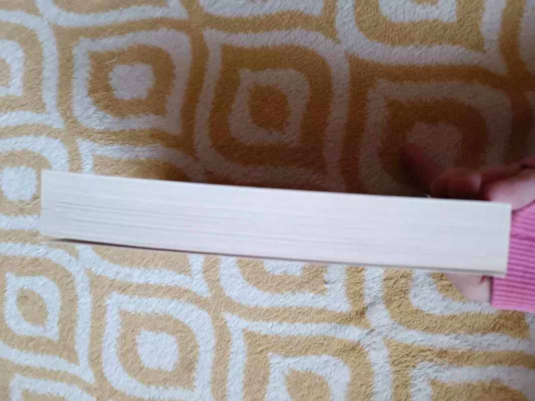 80 DIENŲ. AUKSINĖ - Vina Jackson, knyga 3