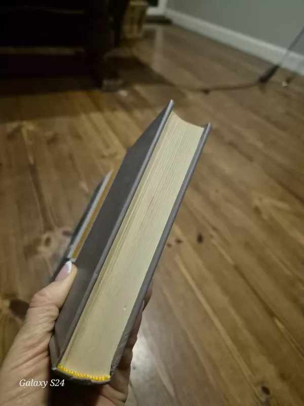 Vėluojanti savastis - Vytautas Rubavičius, knyga 3