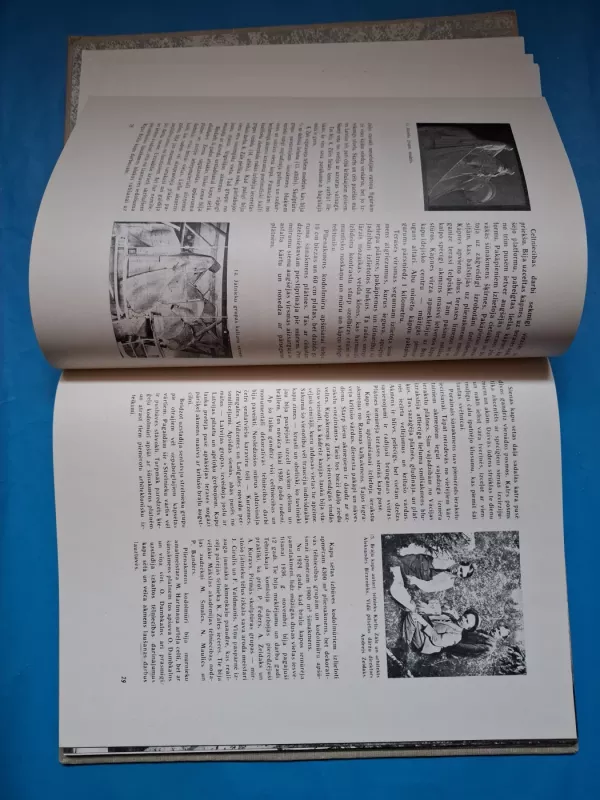 Bralu kapi - Autorių Kolektyvas, knyga 5