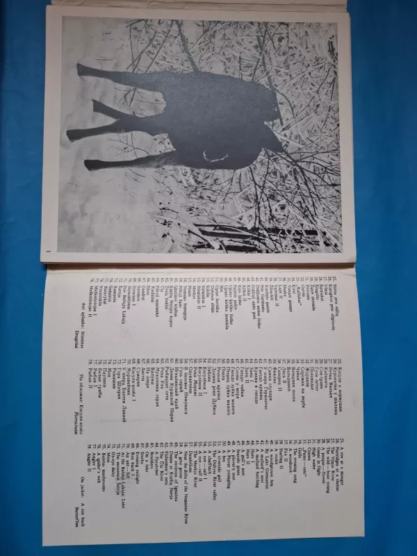 Žvėrių takais - Julius Vaicekauskas, knyga 4