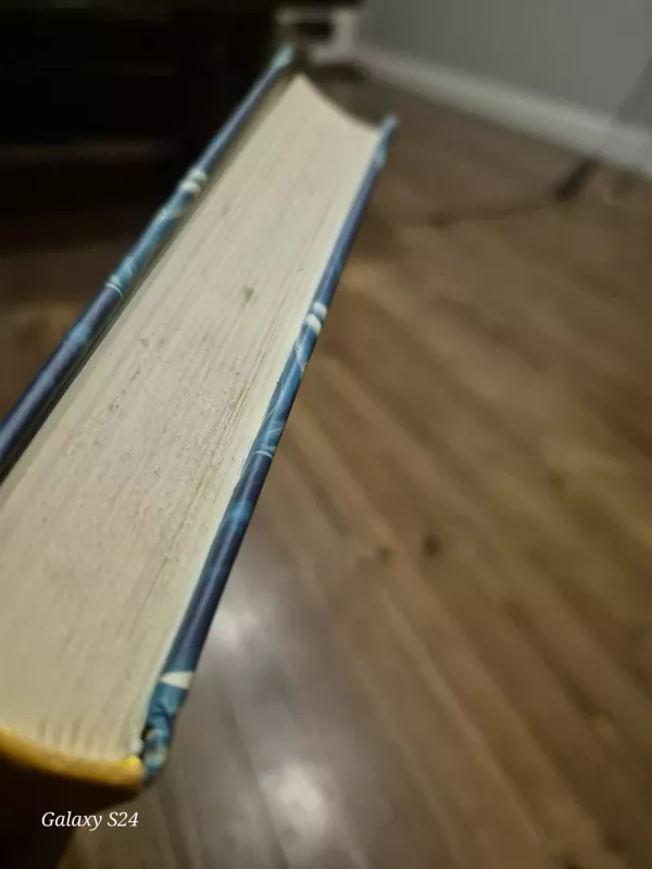 Vėluojanti savastis - Vytautas Rubavičius, knyga 4