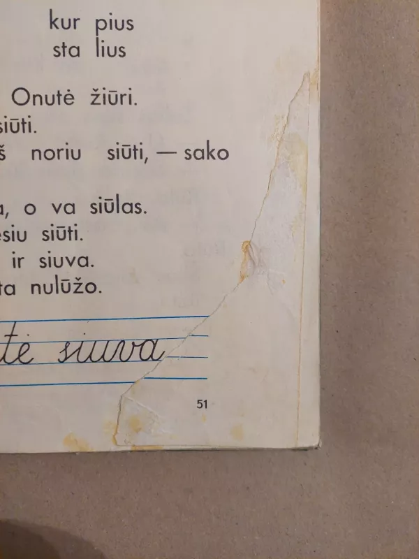 Saulutė. Elementorius - A. Čiplys, S. Pupeikis, knyga 5