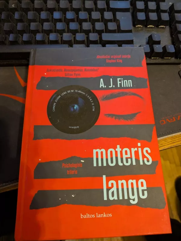 Moteris lange - A. J. Finn, knyga 2