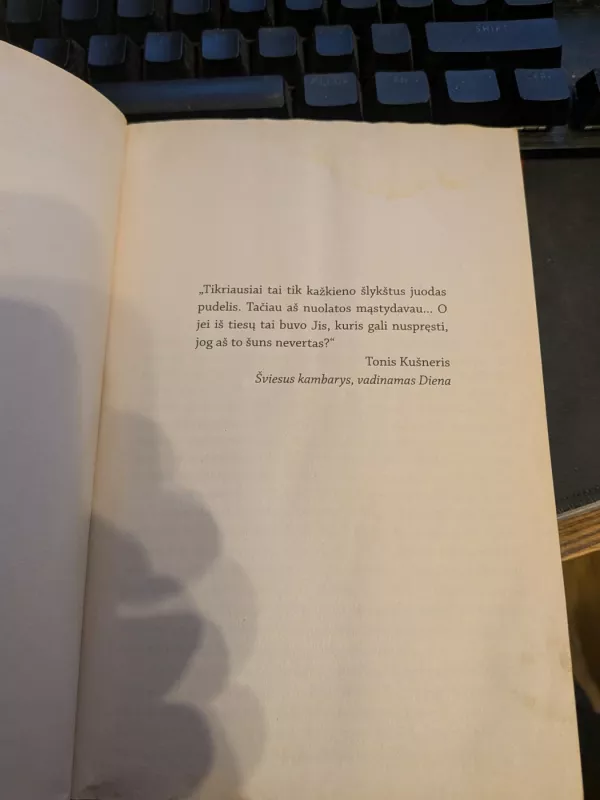 Miškuose - Tana French, knyga 3