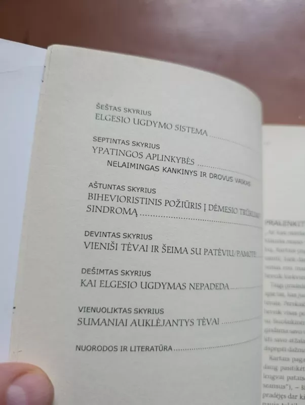 Nebijokite drausminti vaikų - Ruth Peters, knyga 6