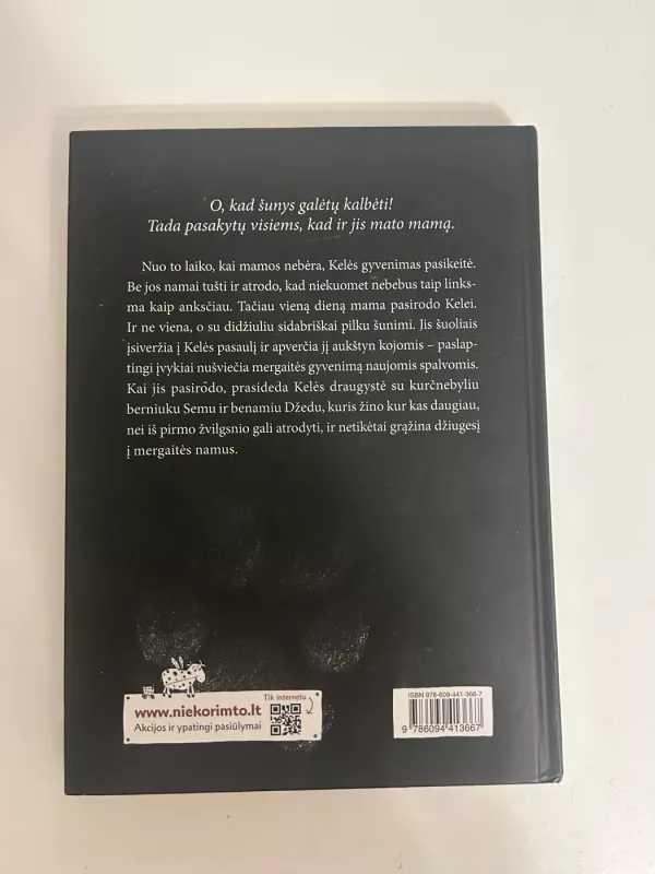 ŠUO VARDU BENAMIS - Sarah Lean, knyga 3