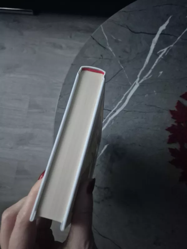 DI supervalstybės: Kinija, Silicio slėnis ir naujoji pasaulio tvarka - Kai-Fu Lee, knyga 4