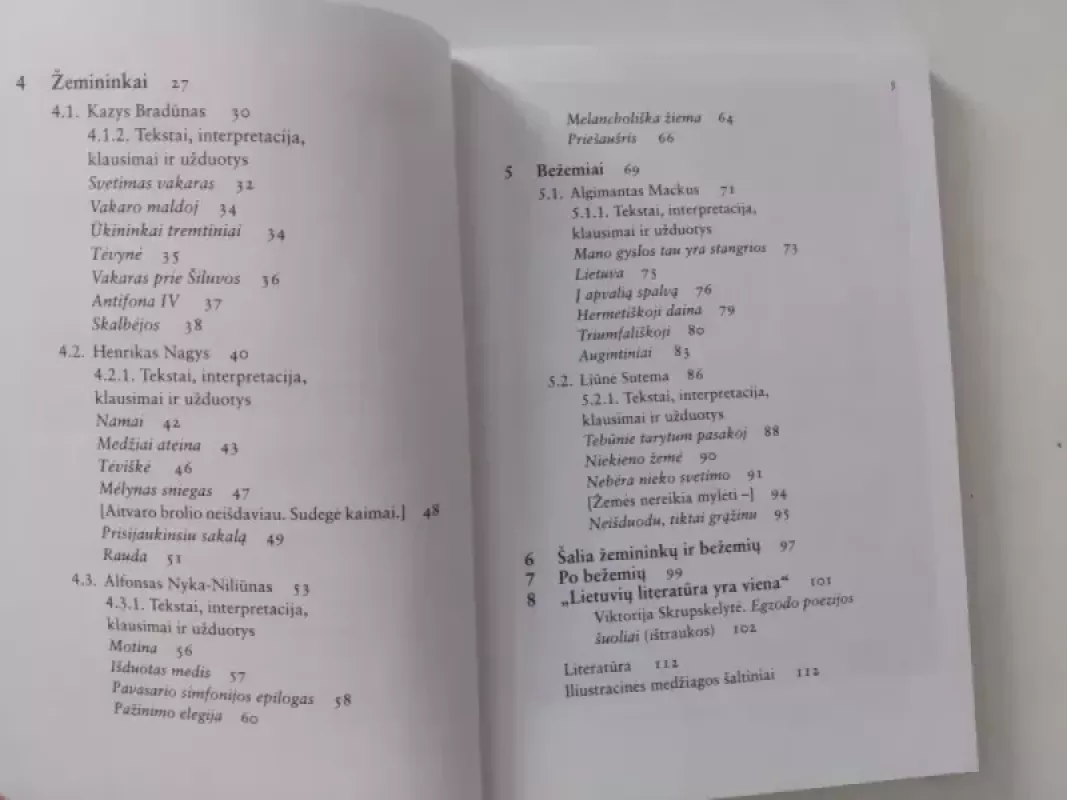Lietuvių egzodo poezija - Dalia Satkauskaitė, knyga 5