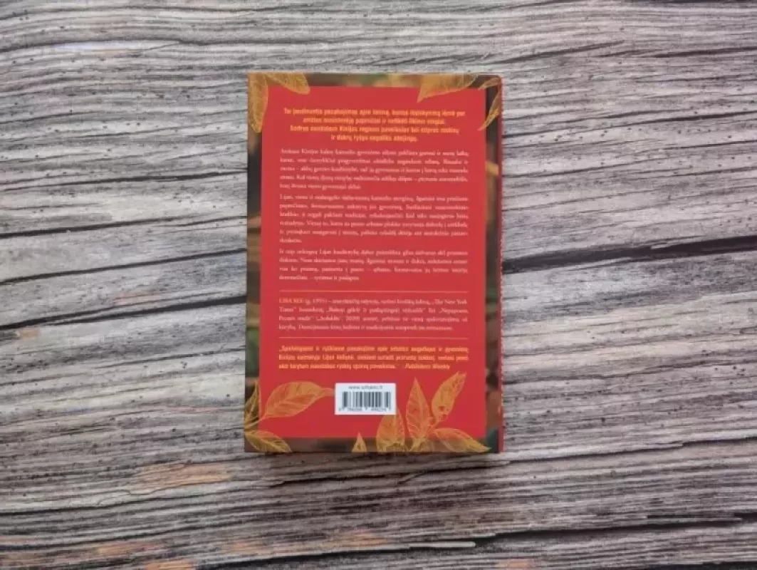 Arbatos mergaite is Kolibriu skersgatvio - Lisa See, knyga 2