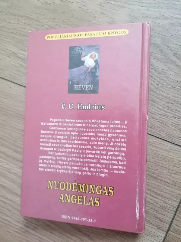 Nuodėmingas angelas - V. C. Endrius, knyga 6