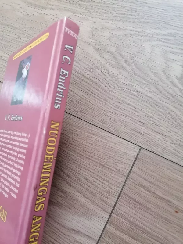 Nuodėmingas angelas - V. C. Endrius, knyga 5