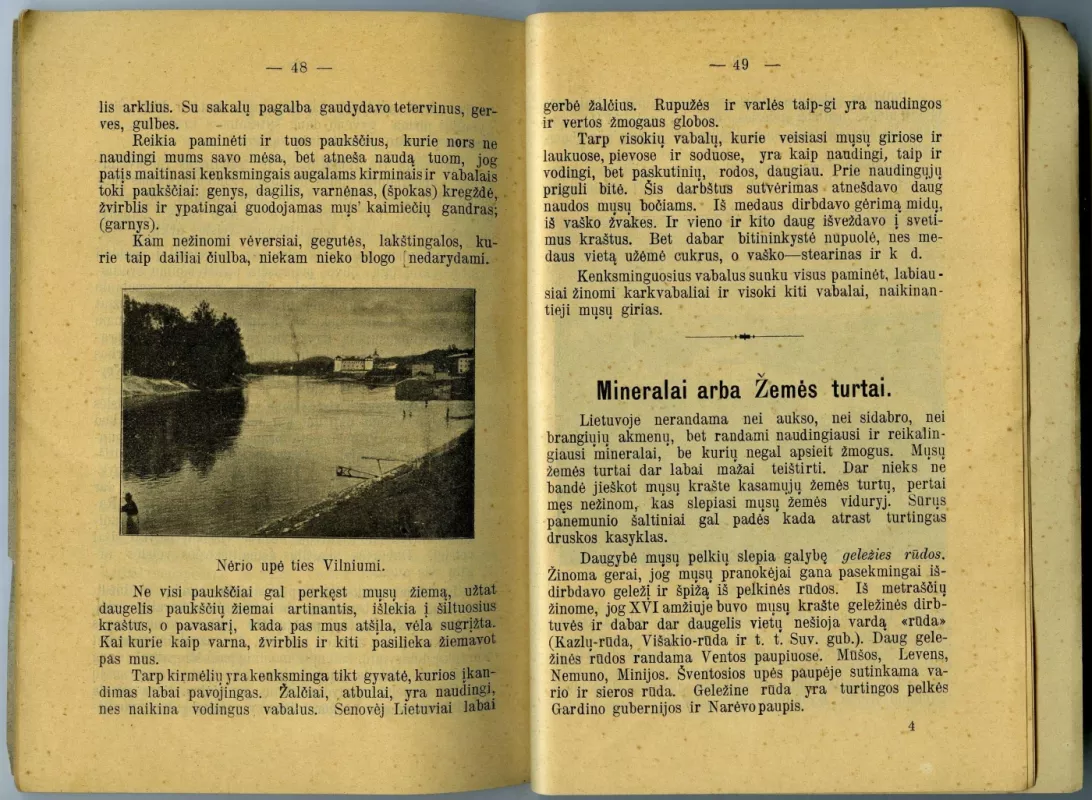 Trumpas Lietuvos aprašymas - Juozas Gabrys, knyga 5