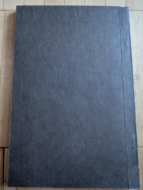 Vilnonė suknelė - Anri Bordo, knyga 3