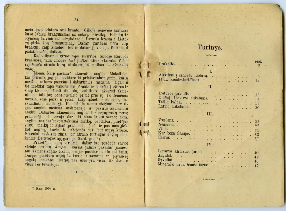 Trumpas Lietuvos aprašymas - Juozas Gabrys, knyga 4