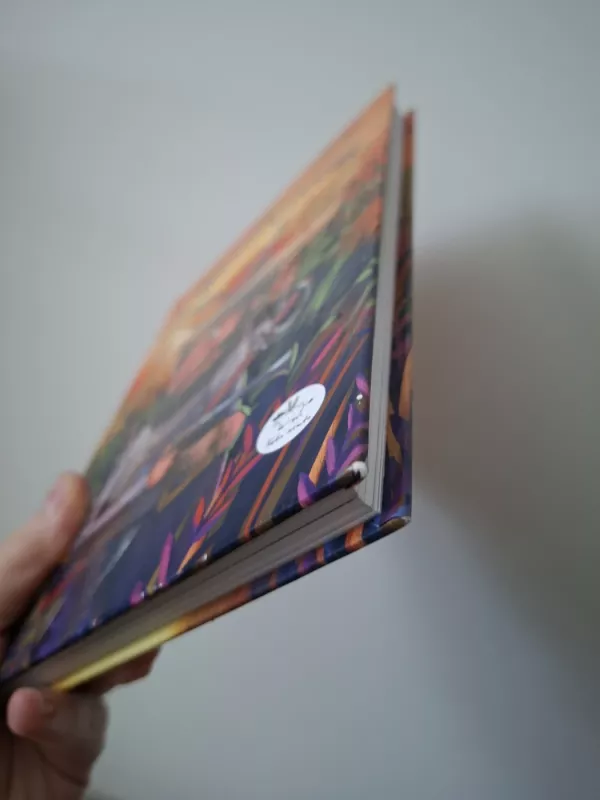 Plėšikas Hocenplocas - Otfried Preussler, knyga 5