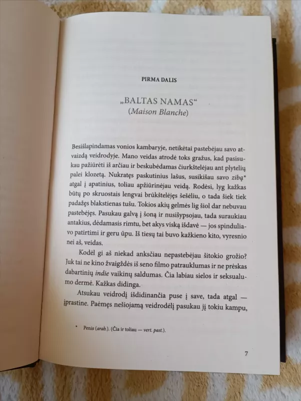 Paryžiaus aidas - Sebastian Faulks, knyga 4