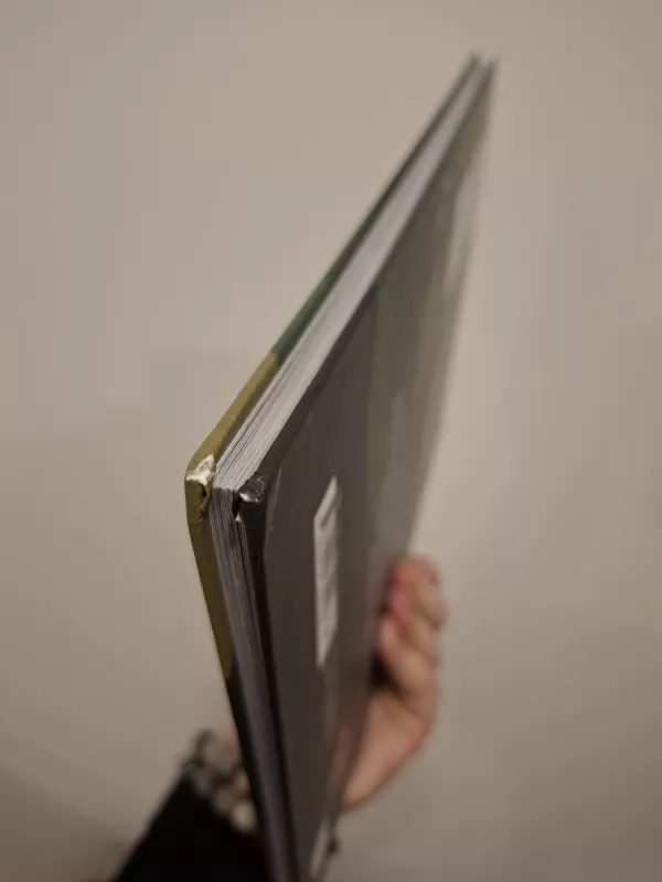 Monstras Numeris Du - Tomas Dirgėla, knyga 4