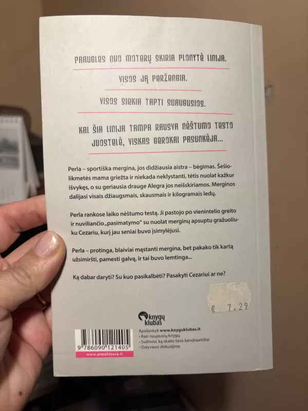 Plona rausva linija - Jandy Nelson Annalisa Strada, knyga 3