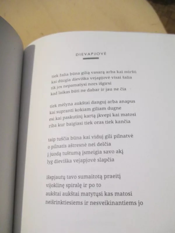 Skilusio akmens bliuzas - Liutauras Leščinskas, knyga 6