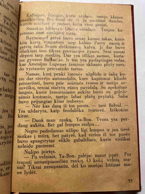 Auksinis trikampis - Mauricijus Leblano, knyga 4